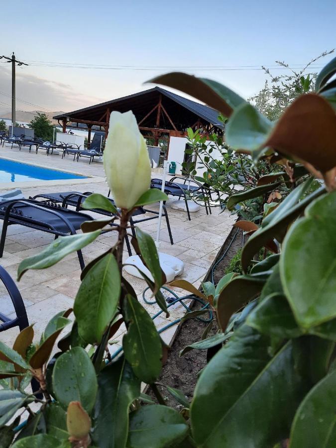 Clisura Dunarii - Pensiunea Casa Creta Liborajdea Exteriör bild